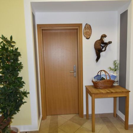 Apartments And Rooms Kod Eli Ravna Gora Bagian luar foto